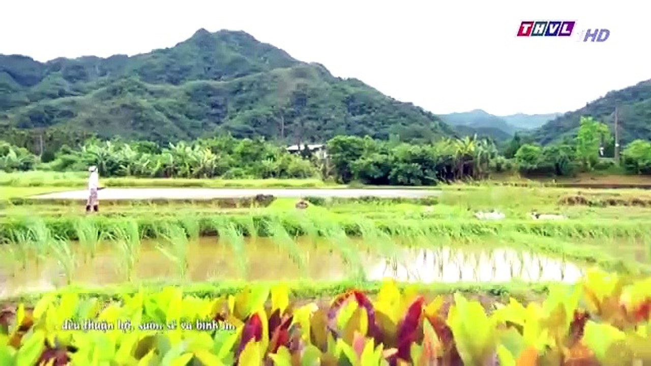 Đại Thời Đại Tập 278 - Phim Đài Loan Tap 279 - THVL1 Lồng Tiếng - Phim Dai Thoi Dai Tap 278