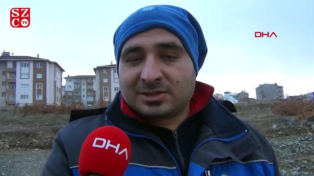 Aç kalan domuz sürüsü şehre indi