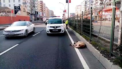Refüjde mahsur kaldı polis seferber oldu