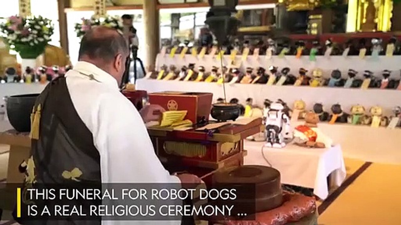 Templo budista oficia un funeral 'masivo' de perros-robot
