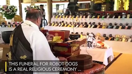 Templo budista oficia un funeral 'masivo' de perros-robot