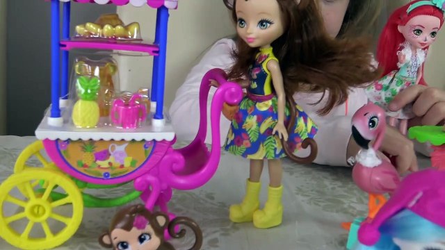 Sophia, Isabella e Alice em uma Grande Surpresa ! Doutora Brinquedos e Seus Brinquedos Mágicos !