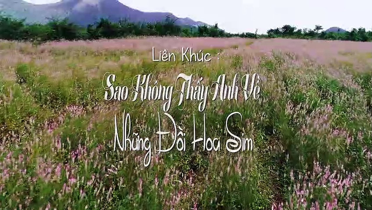 LK Sao Không Thấy Anh Về - Những Đồi Hoa Sim - Quỳnh Trang ft Thiên Quang