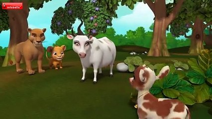 Divide And Rule - Animal Stories Hindi Stories for Children Infobells