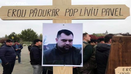 Illegale Abholzung bedroht Karpaten