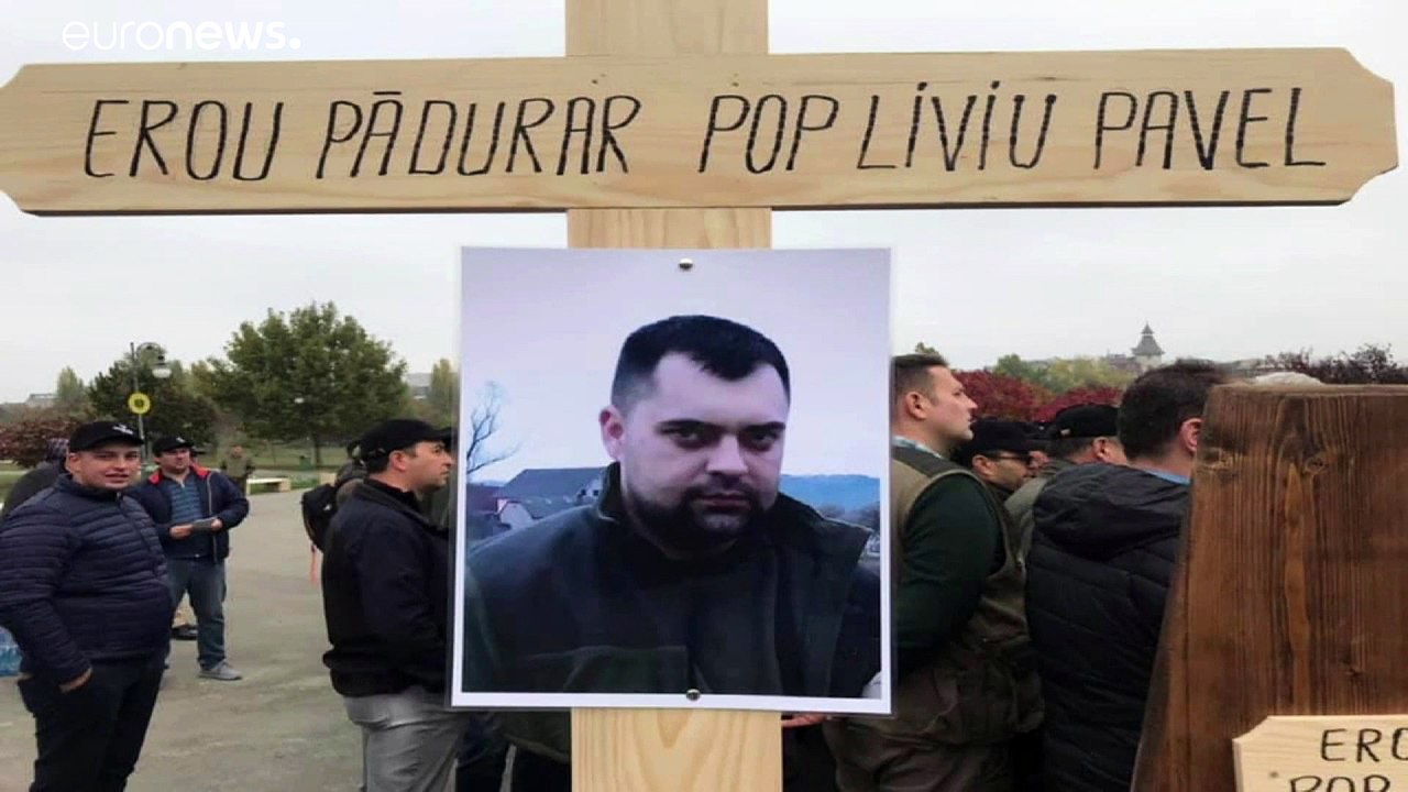 Illegale Abholzung bedroht Karpaten