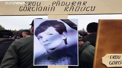 Exploração ilegal de madeira na Roménia