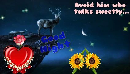 Good Night video || Good Night wishes