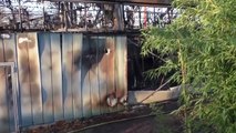 حريق بحديقة حيوانات بألمانيا يتسبب في نفوق عشرات الحيوانات