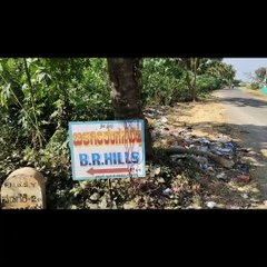 BR Hills or Bilirangan hills chamarajnagar Karnataka