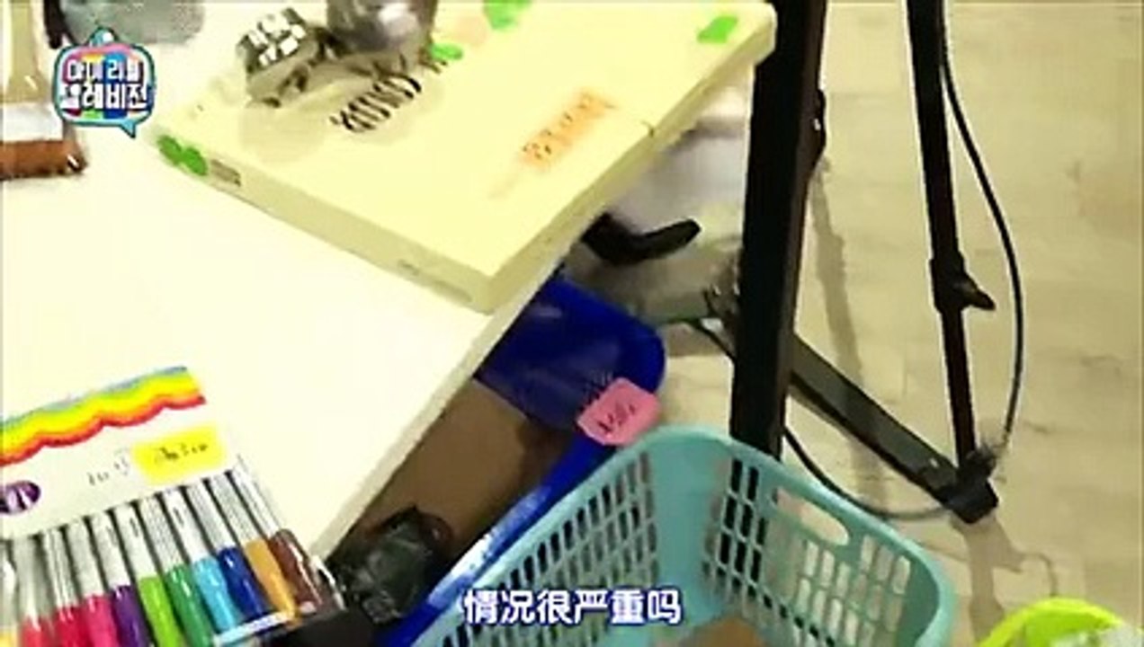♥≾≪