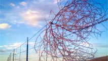 Tumblin' In: New Year's Revelers Trapped By Tumbleweeds