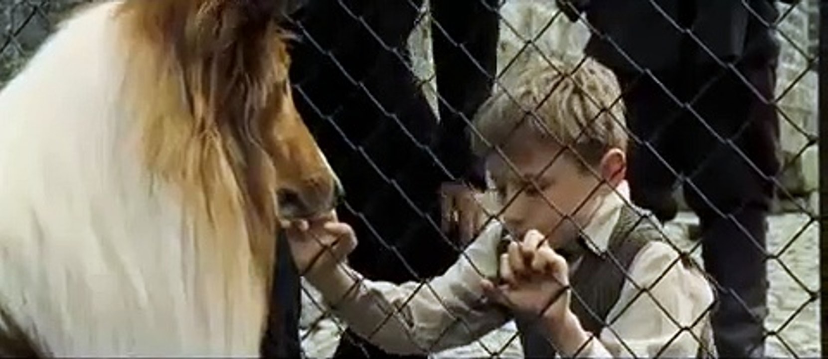 Lassie Trailer (2005)