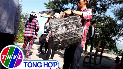 Vô tư chèo kéo du khách mua chim yến để phóng sinh tại An Giang