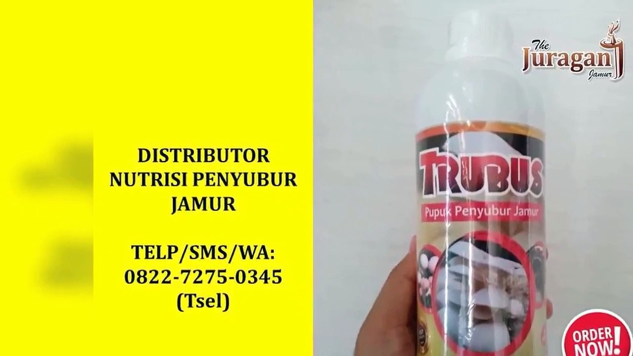 TERBAIK! TELP/SMS/WA : 0822-7275-0345 (Tsel), Harga Murah Suplemen Perangsang Untuk Jamur Tiram Denpasar Bali,
