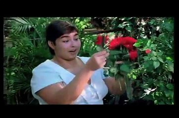 Tves - Hello Hemingway