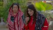 Pakistani Drama   Janbaaz - Episode 8   Express TV Dramas   Qavi Khan, Danish Taimoor, Areeba Habib