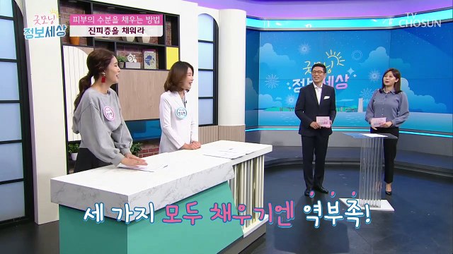 피부를 채우는 3가지 ⧼콜라겐,히알루론산,엘라스틴⧽