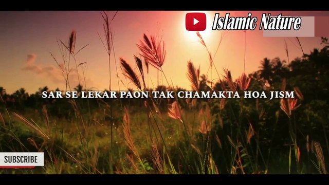 Molana tariq Jameel Bayan | Humare Nabi kese Dikhte The | Tariq Jameel Bayan | Maulana Tariq Jameel 2020 bayan | Latest Maulana Tariq Jameel Bayan | Latest Bayan Tariq Jameel Shab