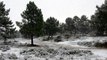Kar yağışıyla beyaza bürünen Aydos Ormanı havadan görüntülendi