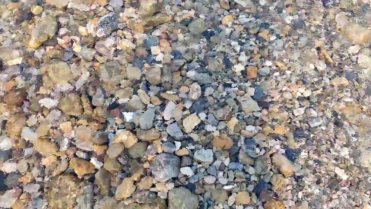 Himalayan River clear water | River walk | Vlogs
