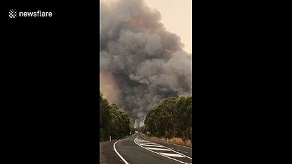 Large plumes of smoke envelop landscape in New South Wales controlled fire
