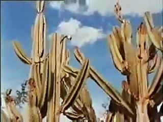 Sob o ditame de Rude Almajesto Sinais de Chuva parte 1