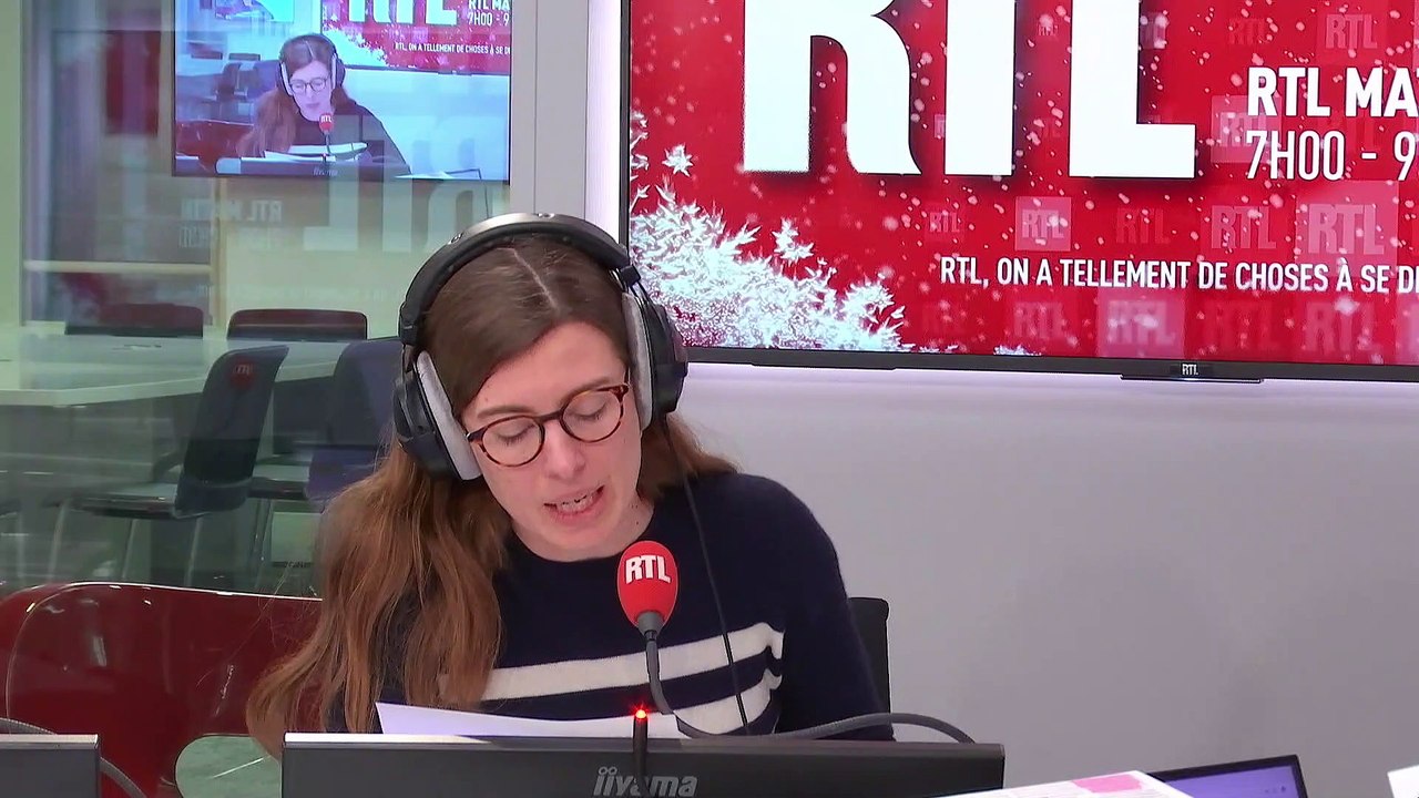 "Poules pour tous", l'association qui sauve les poules promises à abattoir