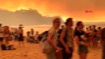 Avustralya'da orman yangınlarında 'göç' riski