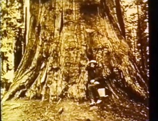 Eadweard Muybridge, Zoopraxographer -- Marriage Story