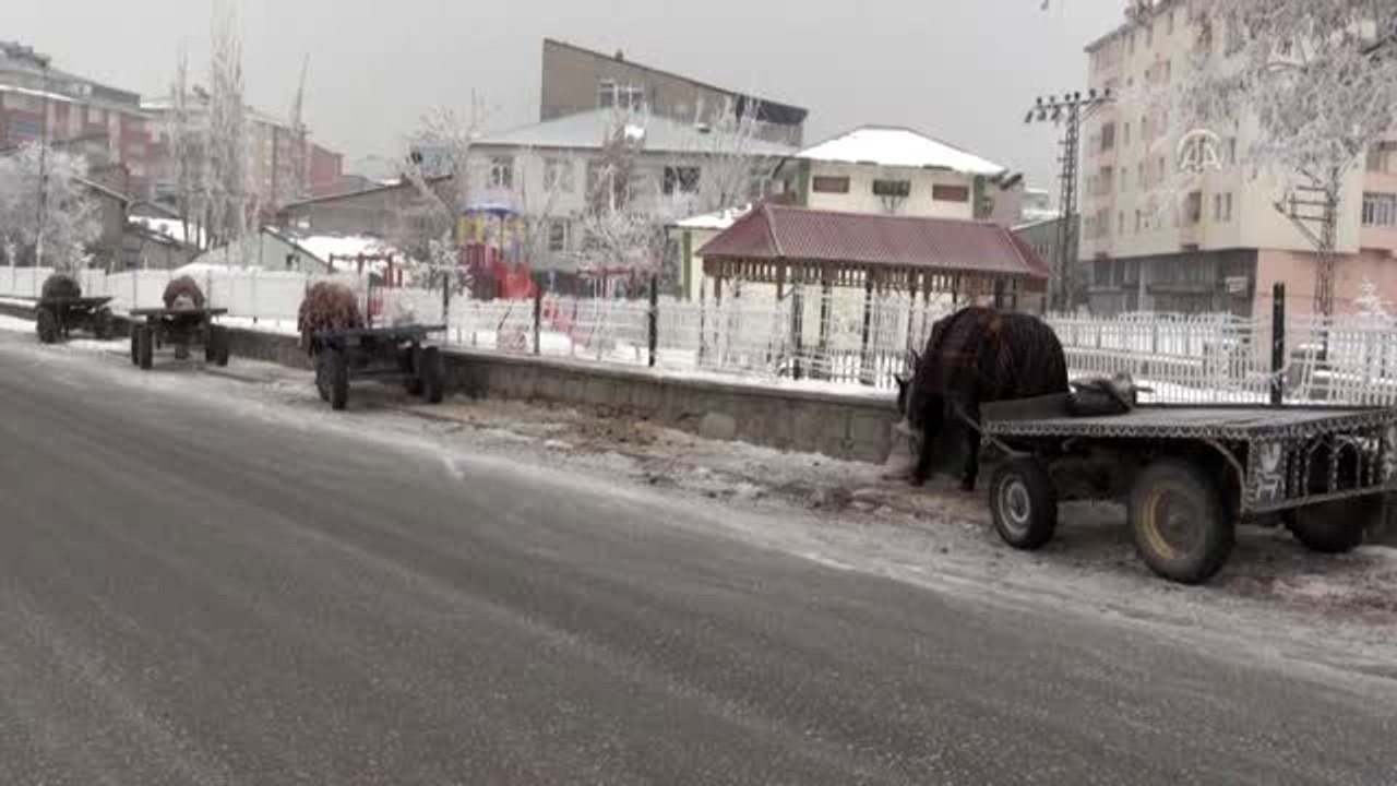 Soğuk hava