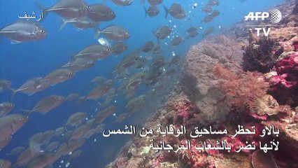 بالاو تحظر مساحيق الوقاية من الشمس لأنها تضر بالشعاب المرجانية