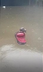 Yaşamak güzel şey be