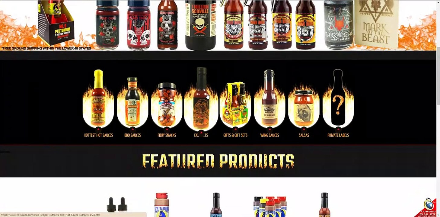 Custom Shopify Themes & Shopify Templates by Shopify Developer