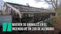 Mueren 30 animales en el incendio de un zoo en Alemania