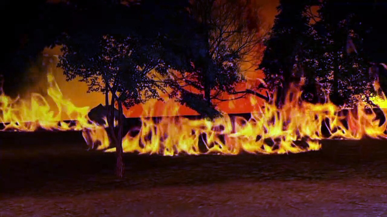 Videografik: So entstehen Waldbrände