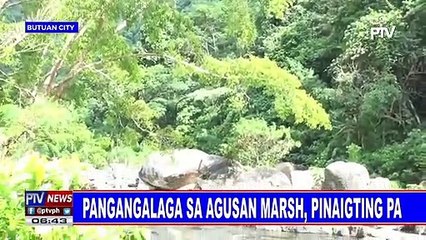 Pangangalaga sa Agusan marsh, pinaigting pa