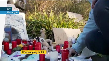 L'Eurozapping du 23h : un zoo prend feu lors du Nouvel An en Allemagne