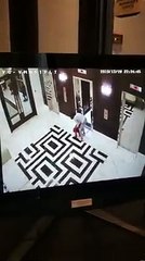 Un médecin sauve un chien étranglé par un ascenseur