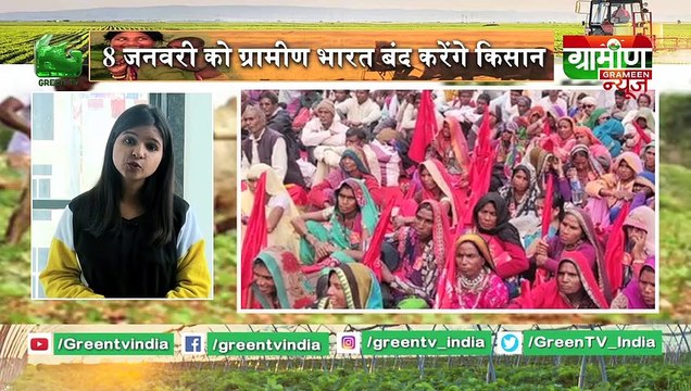 केले की ये किस्म भरेगी किसानों की जेब, नेंड्रम प्रजाति देगी मुनाफा | Kisan Bulletin || Grameen News