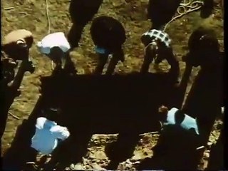 Murders in the Rue Morgue (1971) Trailer