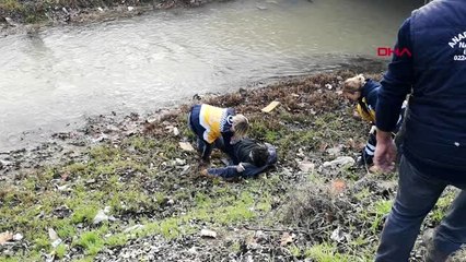 Bursa köprüden dereye atladı, çevredekiler kurtardı