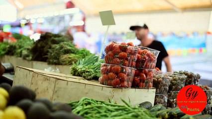 How many electicity in human brain