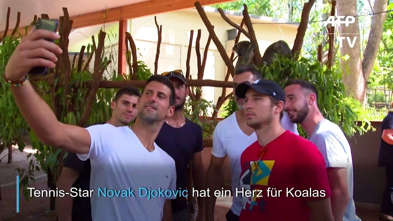 Novak Djokovic hat ein Herz für Koalas