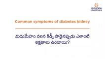 Diabetes Kidney Failure Symptoms | మధుమేహం వలన కిడ్నీ సమస్య మొదలైనప్పుడు ఎలాంటి లక్షణాలు ఉంటాయి?