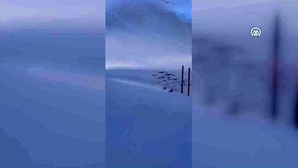 Kardan kapanan yollar ulaşıma açıldı