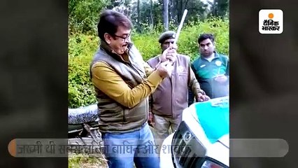 जख्मी थी सबसे चर्चित बाघिन, बिना रेस्क्यू किया इलाज