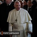 Pope says sorry for slapping devotee's hand