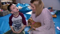 Polonia: pet therapy per i bimbi malati