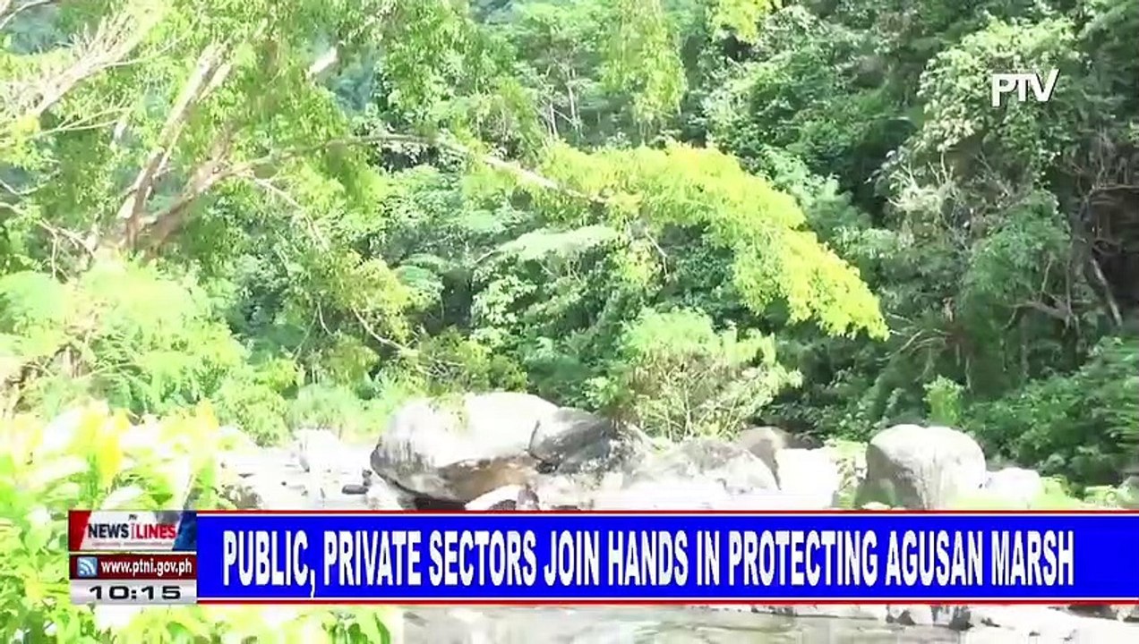 Public, private sectors join hands in protecting Agusan marsh